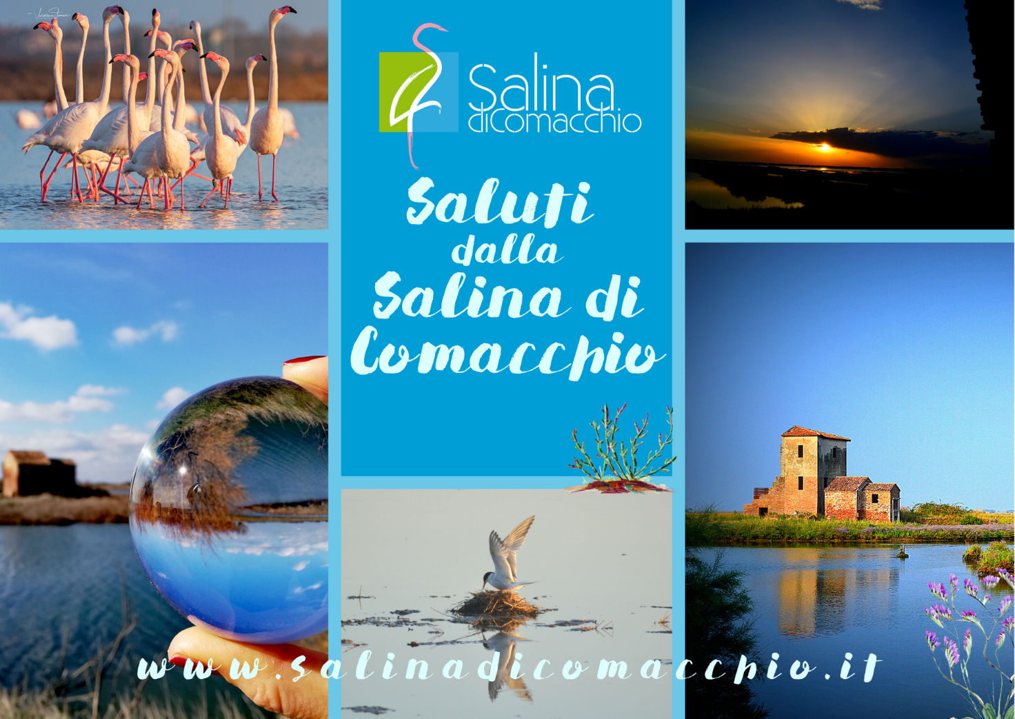 La Salina di Comacchio non si ferma