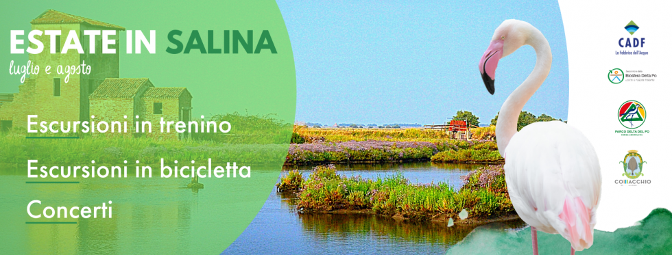 Estate nella Salina di Comacchio: trenino, concerti ed escursioni