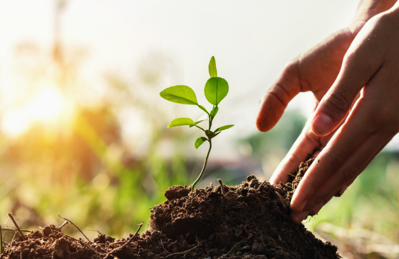 CADF per l’ambiente: il nuovo progetto “La Fabbrica dell’Aria”