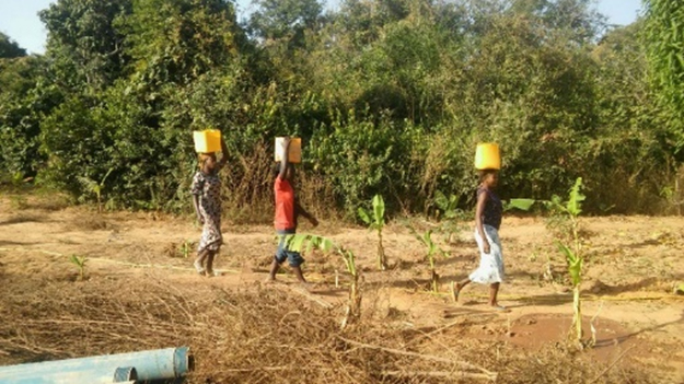 IL GIARDINO DI LUOGSI (Burkina Faso)