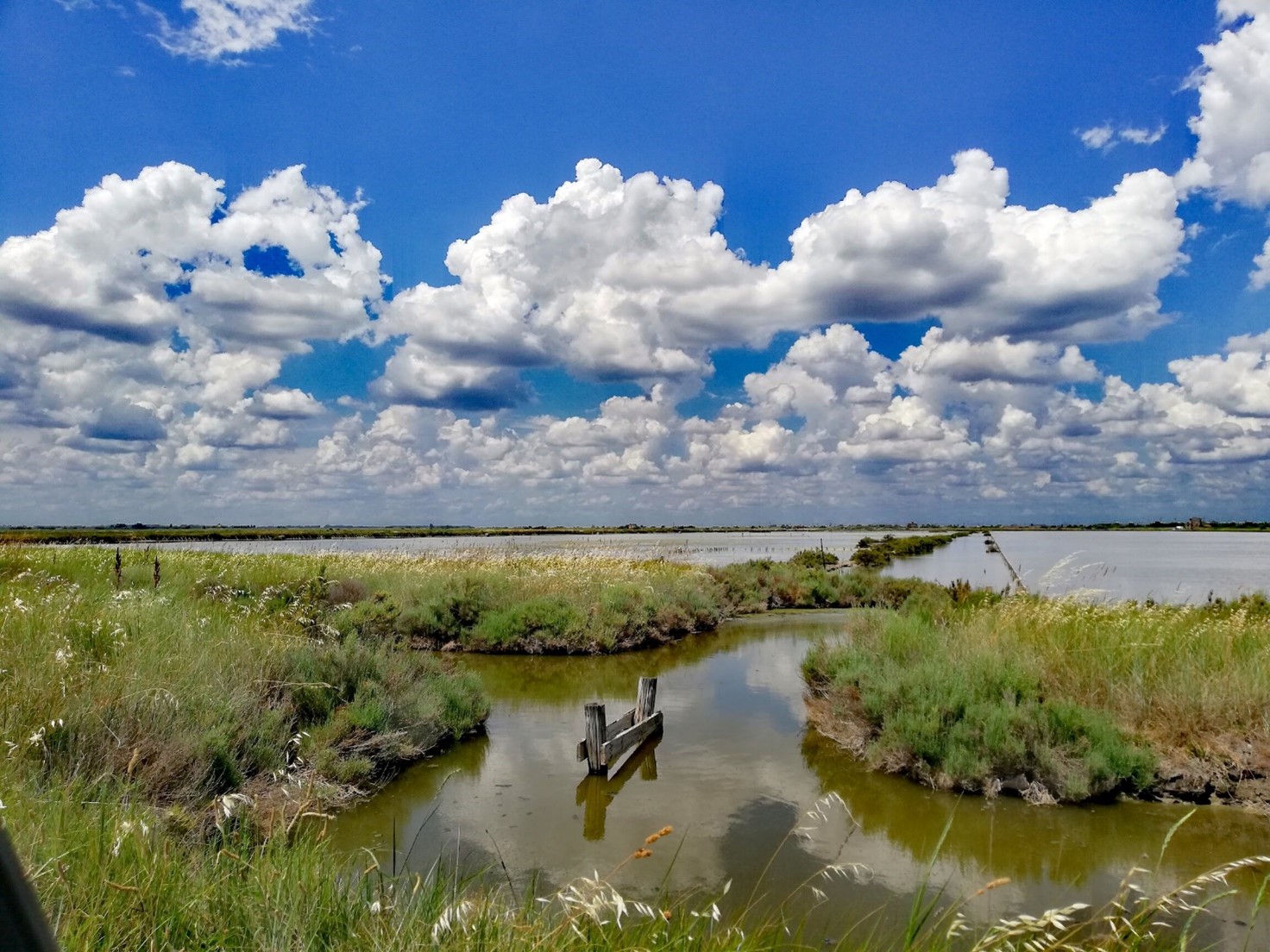 CADF per il territorio: la Salina di Comacchio e la Carta Europea del Tursimo Sostenibile