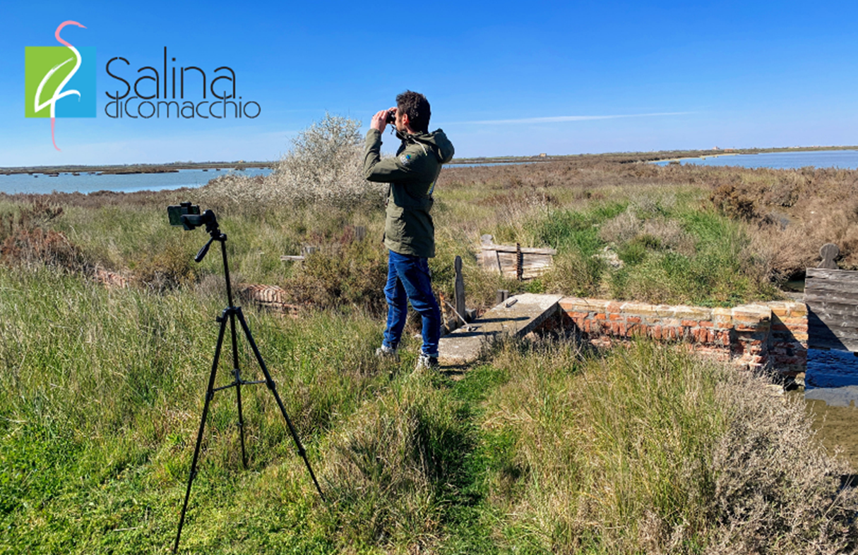 Salina live tour: visita virtuale alla Salina di Comacchio