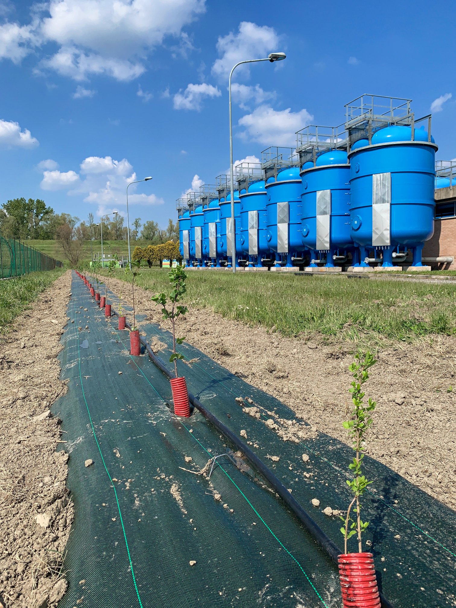 La Fabbrica dell’Aria: continuano le piantumazioni di CADF per un ambiente più verde