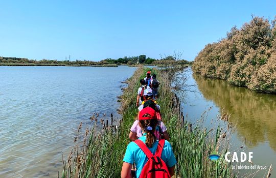 Un’estate di divertimento con i laboratori CADF